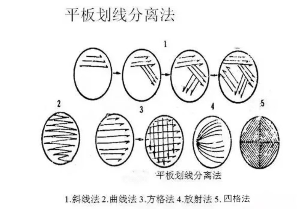 0c37fbcf8d1d470916bec25f866c764.jpg